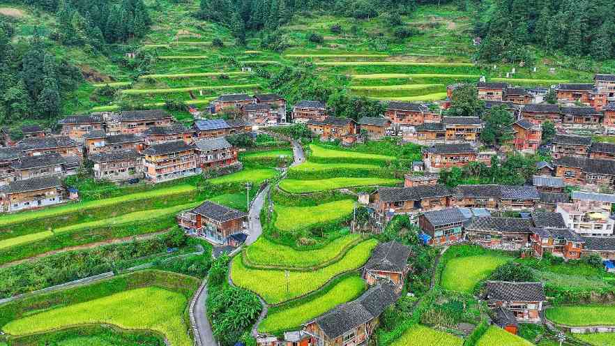 中国三星三年社责战略成果显著，助力乡村与科技发展(图1)