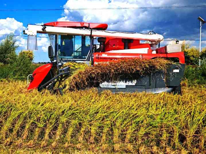 中国三星三年社责战略成果显著，助力乡村与科技发展(图3)