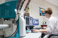 TTS泰得思N15系列离型膜：医疗级洁净屏障解决方案(图3)