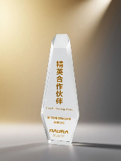 宇电温控科技获北方华创精英合作伙伴认证(图1)