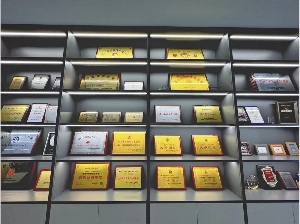 二十年专注，从站长服务到AI赋能的转型之路(图8)