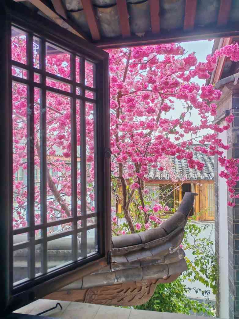 一扇窗，映四季，观天地(图6)