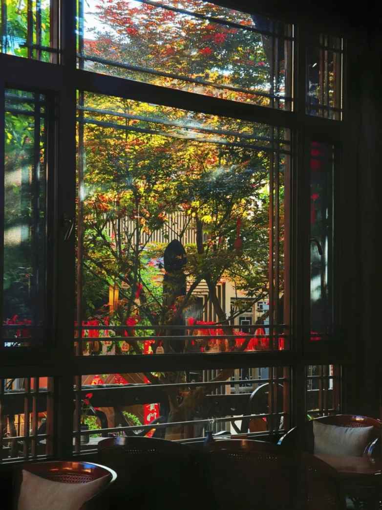 一扇窗，映四季，观天地(图8)