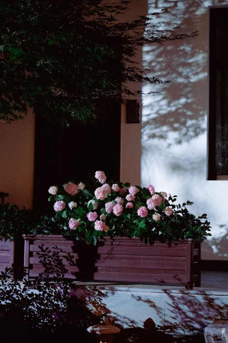 庭院时光 静谧与诗意的栖居空间(图2)