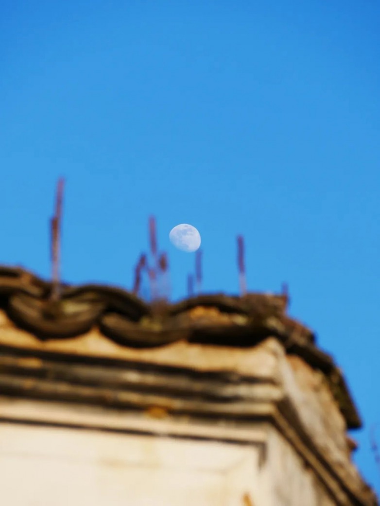 庭院时光 静谧与诗意的栖居空间(图9)