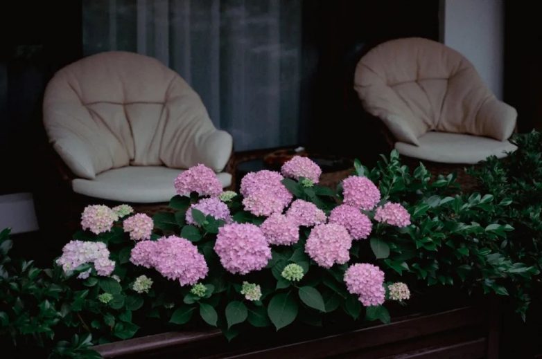 徽州古村醒来，推窗便是诗意栖居(图16)