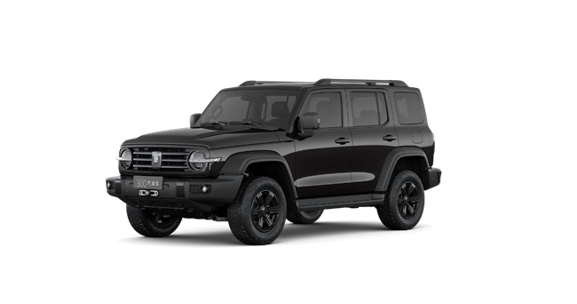 20万左右SUV推荐：兼顾舒适与越野性能的家用好选择(图3)