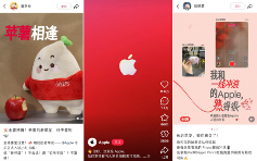 苹果入驻小红书首日吸粉17万(图2)