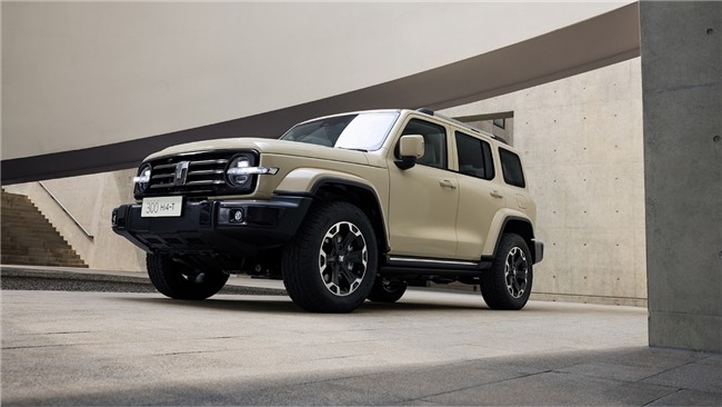 20万新能源车推荐家用SUV指南(图3)