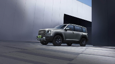 20万左右买什么车好 硬派SUV新能源推荐全攻略(图3)