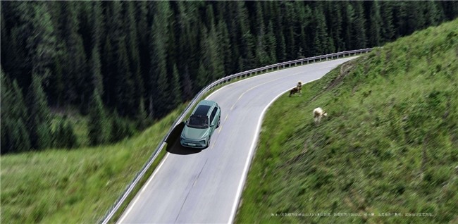 30万越野SUV推荐：多面手车型深度解析全攻略(图2)