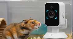 宠智灵AI模组赋能摄像头｜异宠管理全场景解决方案(图2)