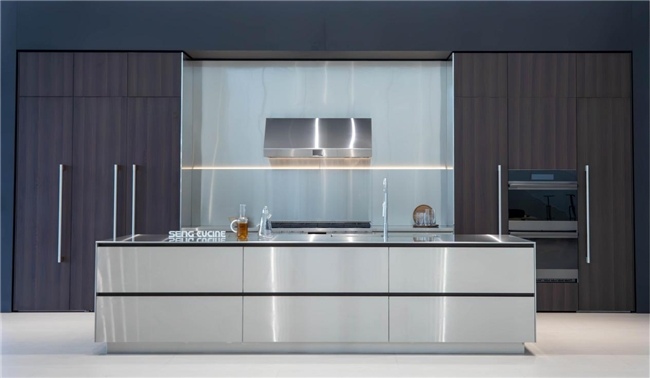 不锈钢高定新范式｜解锁健康环保厨房新体验(图3)