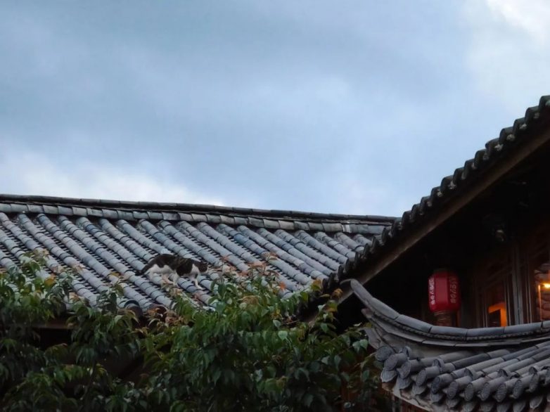 国风民宿设计精髓｜泊心云舍的中式美学全攻略(图8)