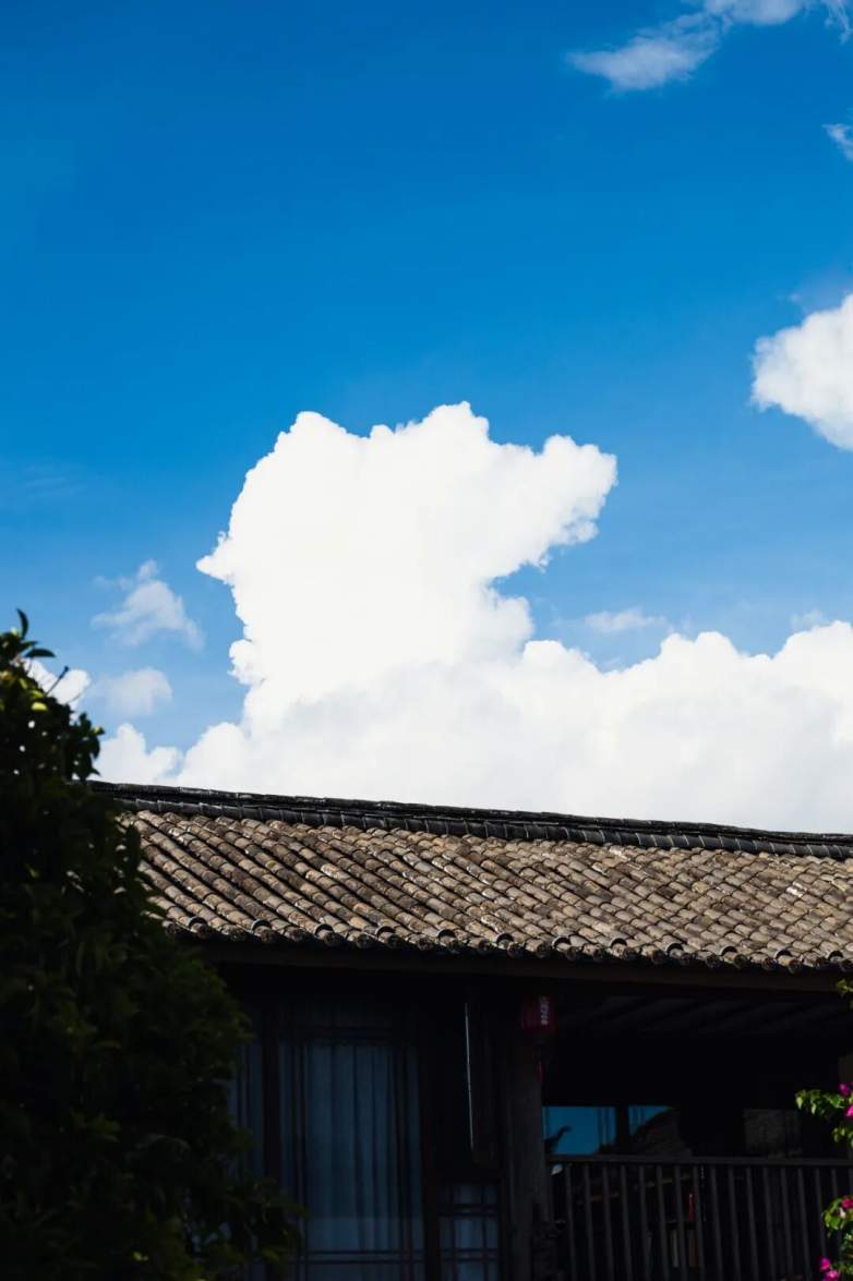 国风民宿设计精髓｜泊心云舍的中式美学全攻略(图7)