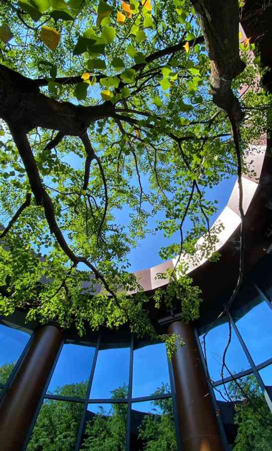 国风民宿设计精髓｜泊心云舍的中式美学全攻略(图4)