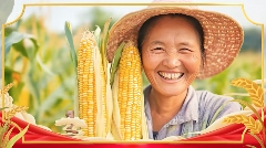 丰收节活动全攻略｜大北农如何打造农业盛宴(图4)
