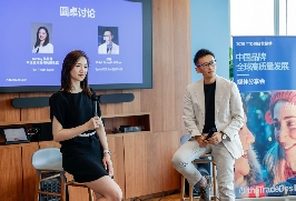 2025假日季消费趋势洞察｜中国品牌出海营销全攻略(图2)