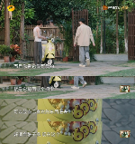 绿源携手向往生活解锁治愈系骑行场景全攻略(图2)