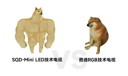 图片 5.png