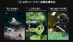 索尼百微镜头升级全攻略｜微距拍摄新标准(图4)