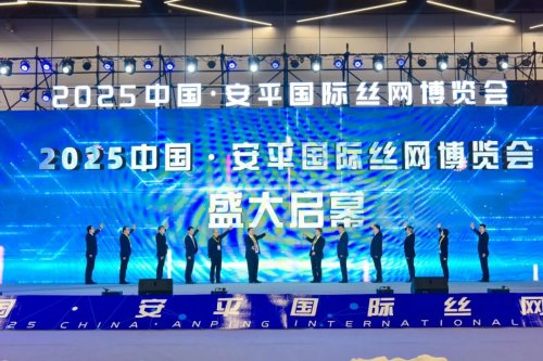 全球精英共聚安平 共赴智造新未来(图2)