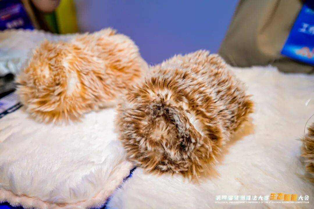 探秘琶洲模方：不只是孵化器，更是“创新沙盒”(图3)