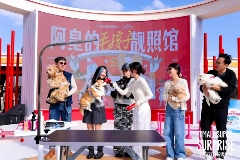 天猫双11超级发布全攻略(图7)