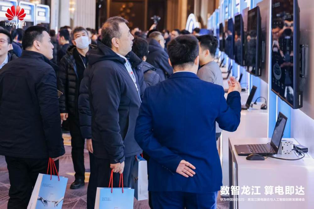 华为中国行2025·黑龙江算电融合与人工智能创新发展峰会成功举办(图19)