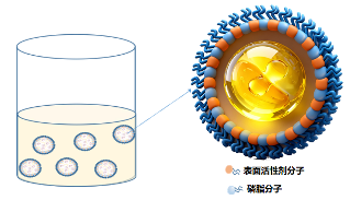 胶原版图再拓边！聚源生物发布行业首款油溶胶原，开启跨相技术新航道(图7)