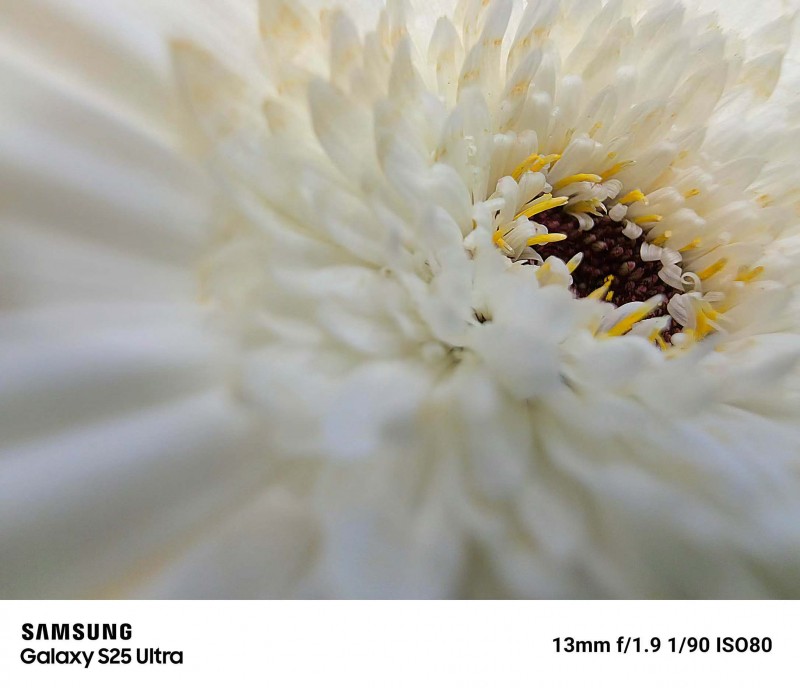 高能旗舰一步到位 三星Galaxy S25系列双十二购机有礼(图3)