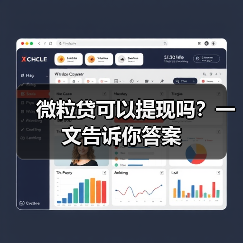 微粒贷可以提现吗？一文告诉你答案（图4）