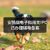 安凯微电子拟闯关IPO 已办理辅导备案（图3）