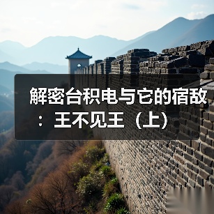 解密台积电与它的宿敌:王不见王(上)(图1) 解密台积电与它的宿敌:王不见王(上)(图1)