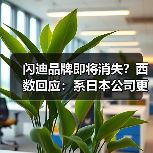 闪迪品牌即将消失？西数回应：系日本公司更名（图4）