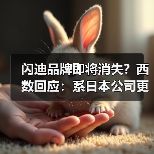 闪迪品牌即将消失？西数回应：系日本公司更名（图3）