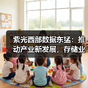 紫光西部数据东猛：推动产业新发展，存储业者何为？（图4）