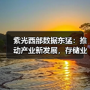 紫光西部数据东猛：推动产业新发展，存储业者何为？（图3）
