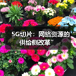 5G切片:网络资源的“供给侧改革”(图2) 5G切片:网络资源的“供给侧改革”(图2)