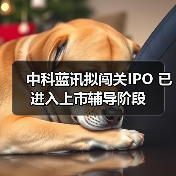 中科蓝讯拟闯关IPO 已进入上市辅导阶段（图1）