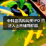 中科蓝讯拟闯关IPO 已进入上市辅导阶段（图4）