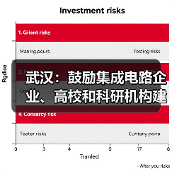 武汉：鼓励集成电路企业、高校和科研机构建设集成电路核心技术攻关载体（图4）