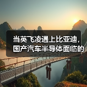 当英飞凌遇上比亚迪,国产汽车半导体面临的挑战与机遇(图3) 当英飞凌遇上比亚迪,国产汽车半导体面临的挑战与机遇(图3)