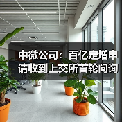 中微公司:百亿定增申请收到上交所首轮问询(图4) 中微公司:百亿定增申请收到上交所首轮问询(图4)