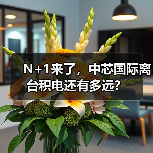 N+1来了,中芯国际离台积电还有多远?(图3) N+1来了,中芯国际离台积电还有多远?(图3)