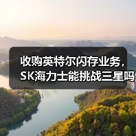 收购英特尔闪存业务,SK海力士能挑战三星吗?(图1) 收购英特尔闪存业务,SK海力士能挑战三星吗?(图1)