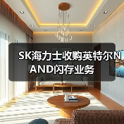 SK海力士收购英特尔NAND闪存业务（图2）