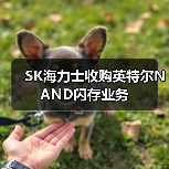 SK海力士收购英特尔NAND闪存业务（图3）