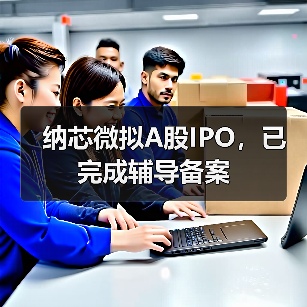 纳芯微拟A股IPO,已完成辅导备案(图2) 纳芯微拟A股IPO,已完成辅导备案(图2)