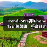 TrendForce评iPhone12定价策略：符合预期，有望助推出货量增至7500~8000万部（图4）